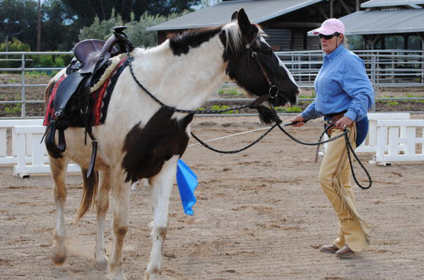 Kathe Smothers - Quiet Mind Horsemanship