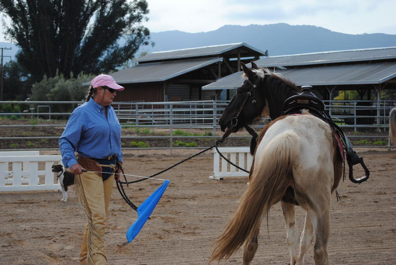 Horsemanship Anza, California
