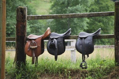 Saddle Styles and Different Disciplines of Riding Styles